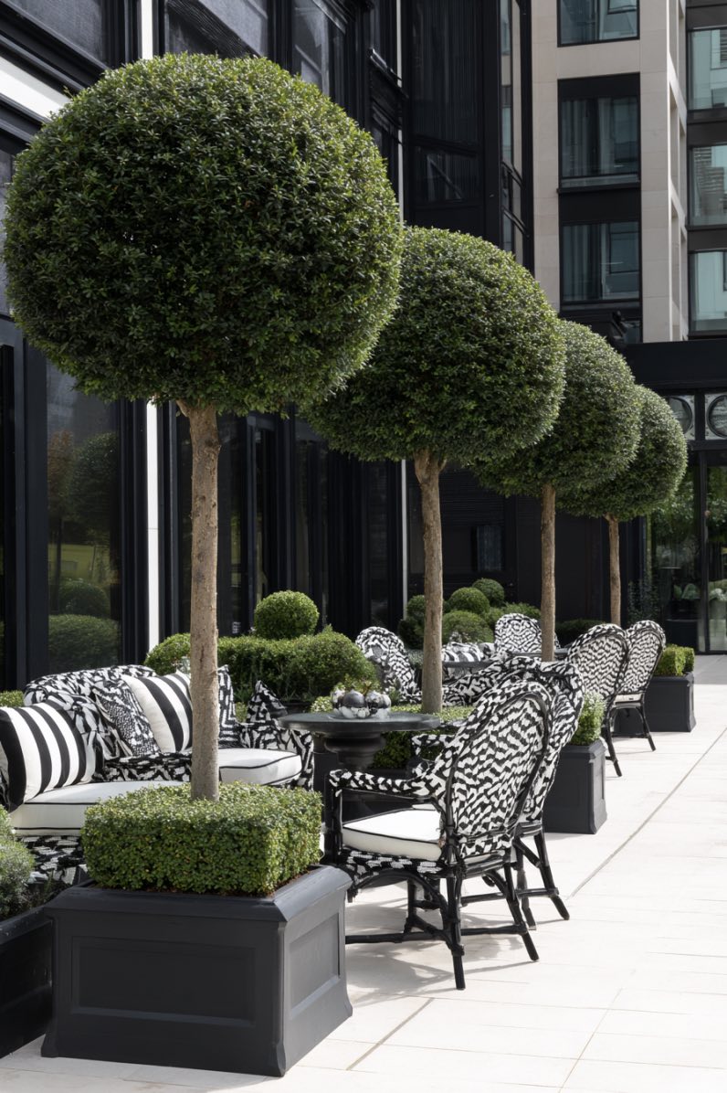 Chic Symmetry with Boxwood Charm