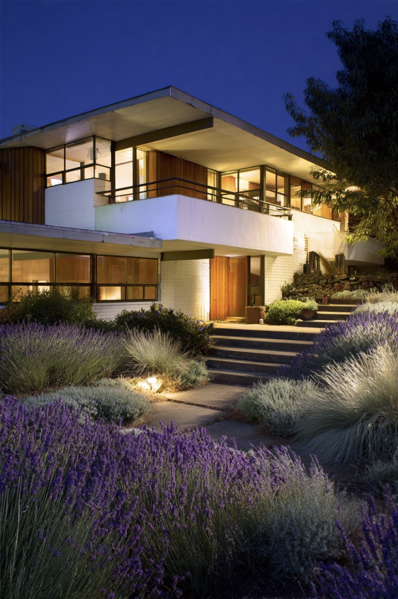 Modern Entrance Framed by Lavender and Light