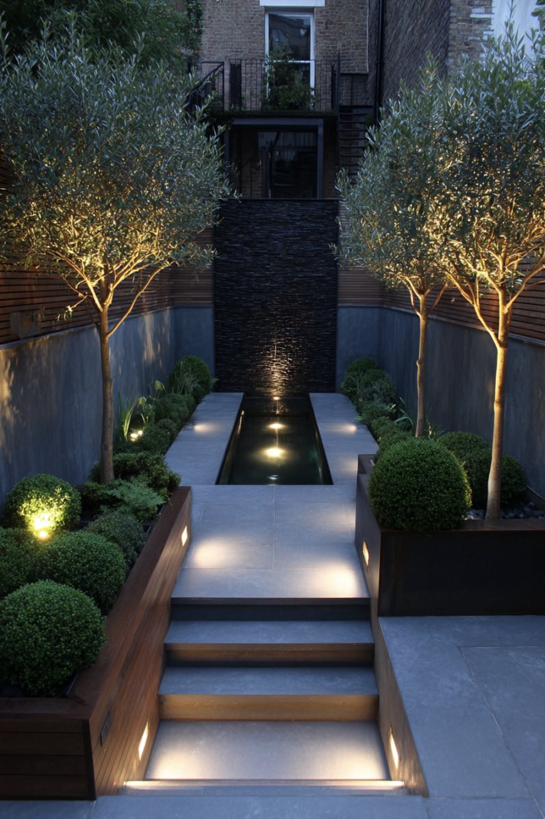 Sleek Boxwood Glow in Modern Garden