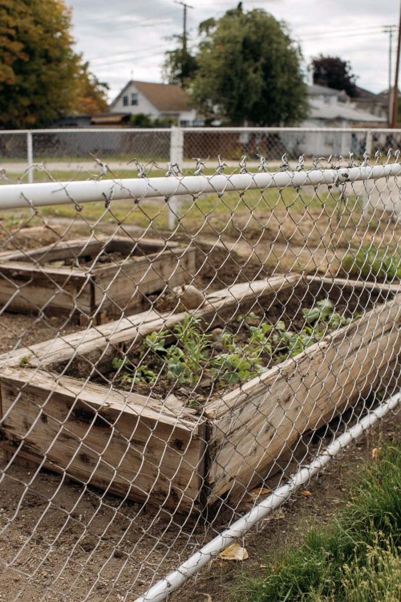 Raised Wooden Pallet Garden with White Chain-Link Fence