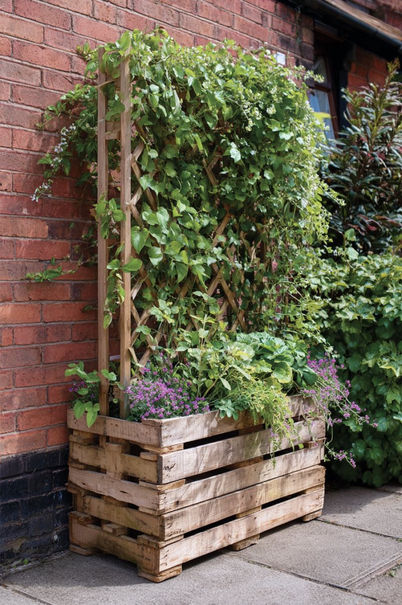 Pallet Planter with Climbing Trellis