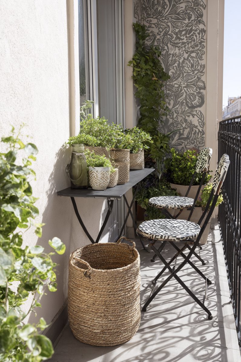 Botanical Nook with Urban Flair