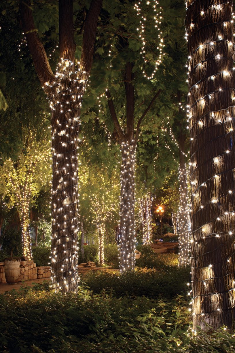 Twinkling Tree Garden at Night