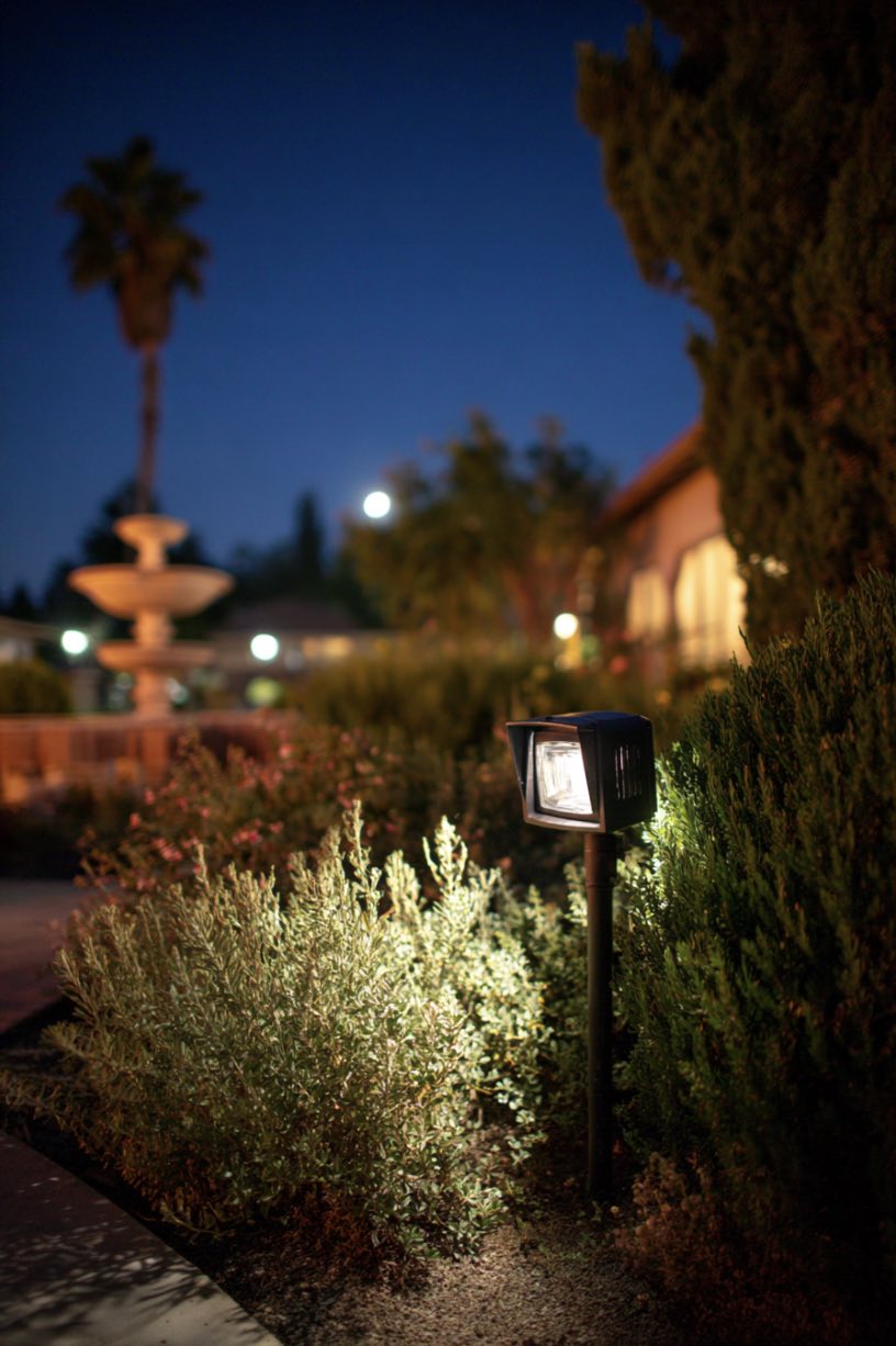 Serene Garden Glow with LED Spotlight