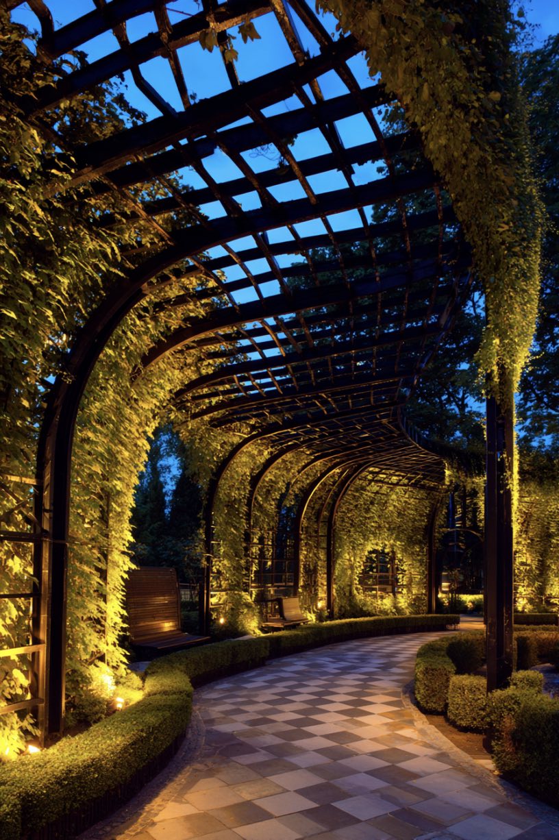 Golden Light and Garden Grace