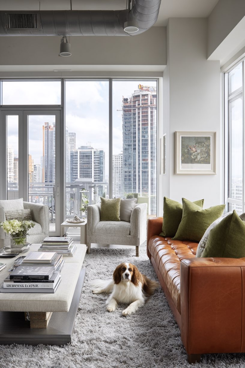 High-Rise Comfort with City Views