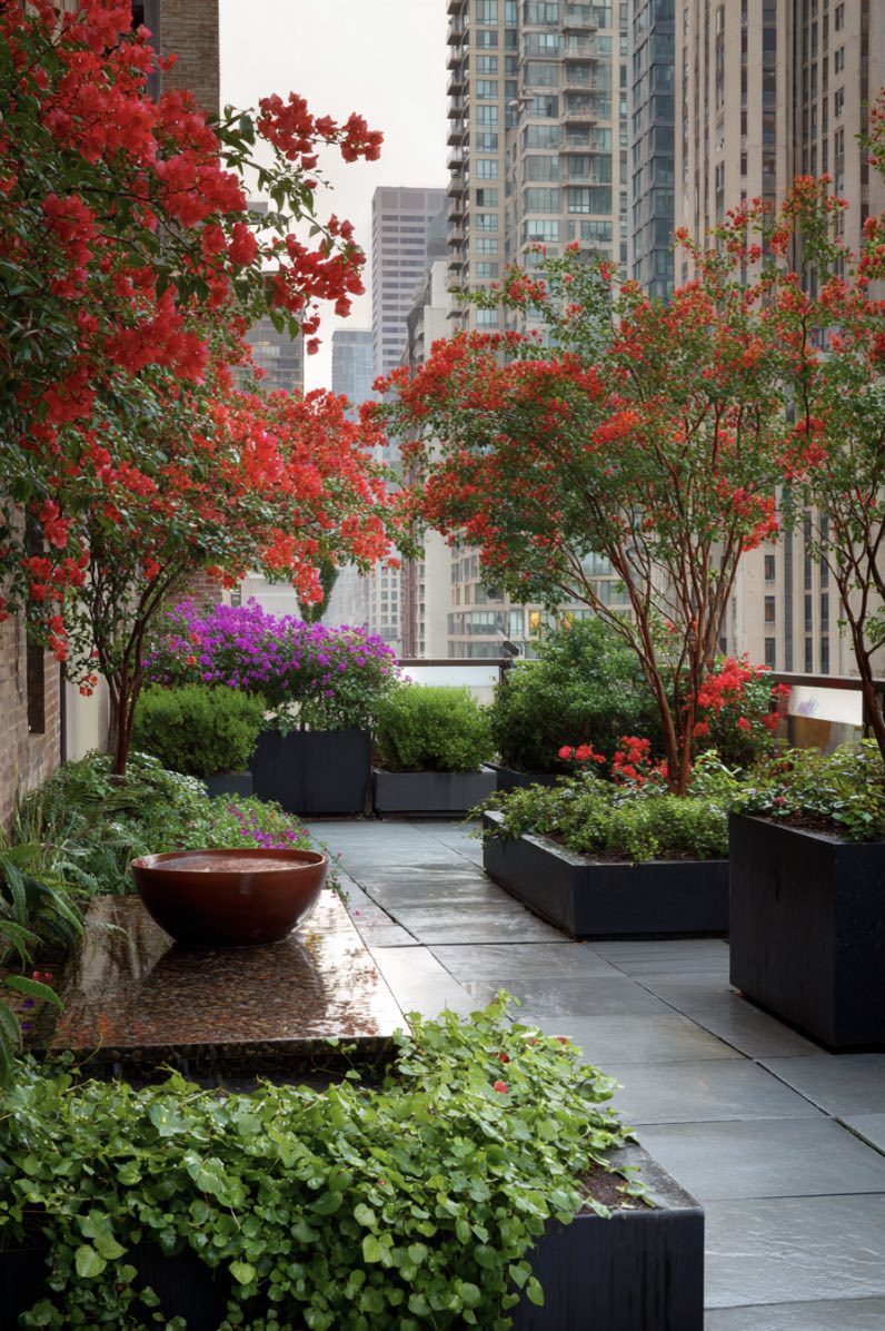 Urban Courtyard Escape